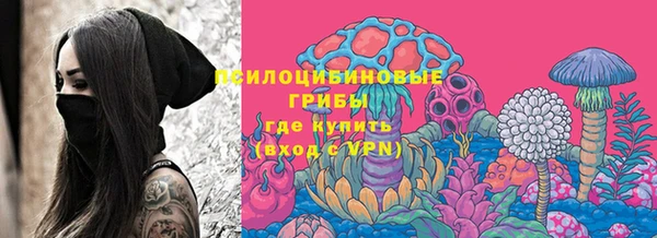 бошки Покровск