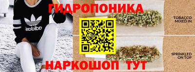 молекула духа Кизляр