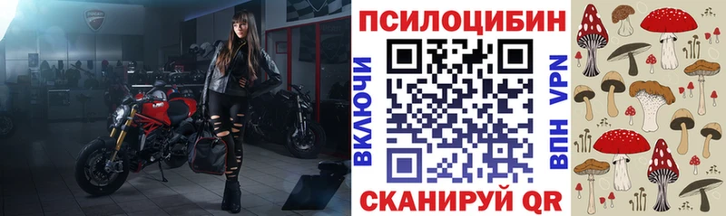 mega   Урус-Мартан  Галлюциногенные грибы ЛСД 