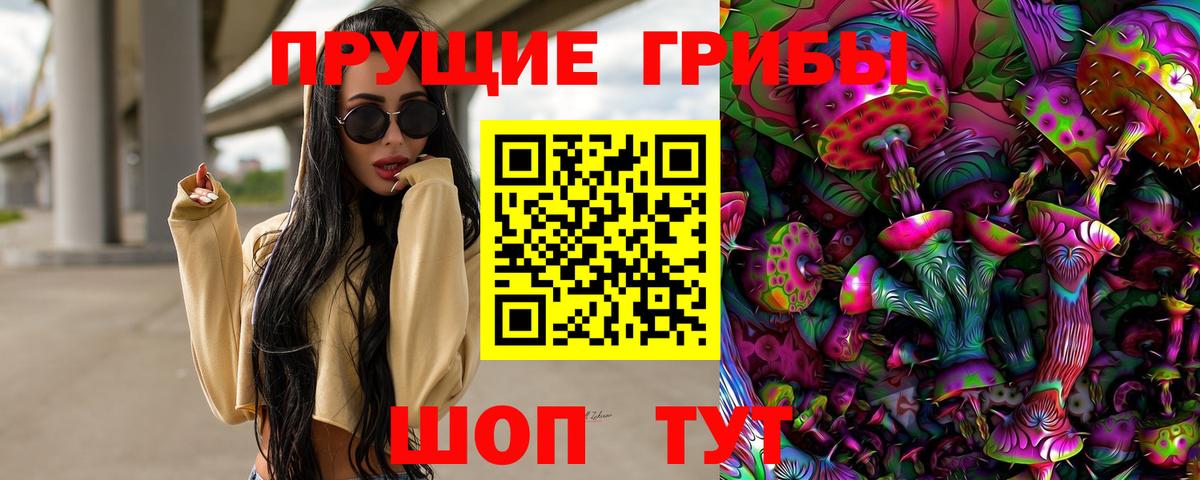 Галлюциногенные грибы прущие грибы  Галлюциногенные грибы MAGIC MUSHROOMS  Урус-Мартан  Вход с VPN 