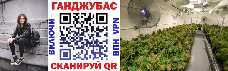 omg маркетплейс  Урус-Мартан  Конопля OG Kush  как найти закладки 